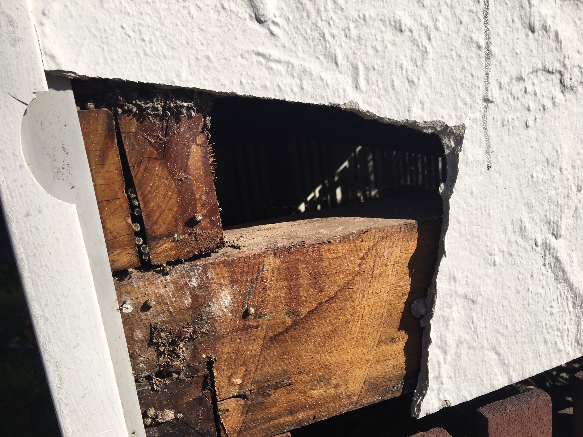 A hole in the wall indicating potential damage needing asbestos removal services Brisbane.